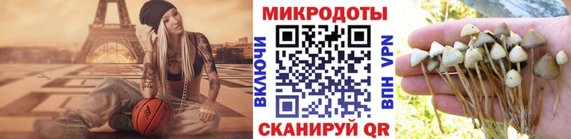 Псилоцибиновые грибы GOLDEN TEACHER  наркотики  Александров 